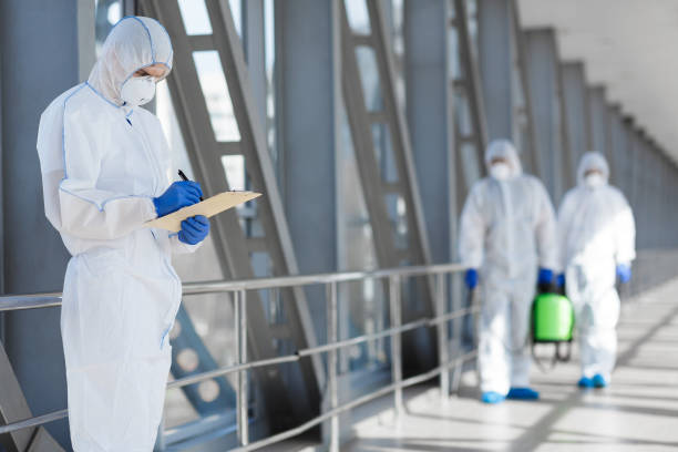 Reliable Temple City, CA Mold Removal Solutions